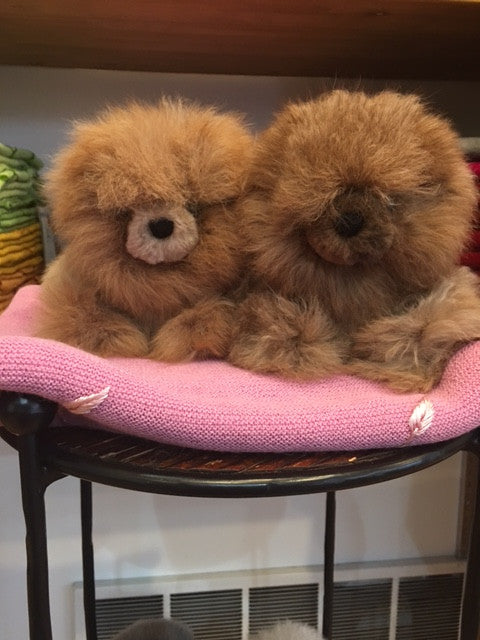 Furry teddy shop
