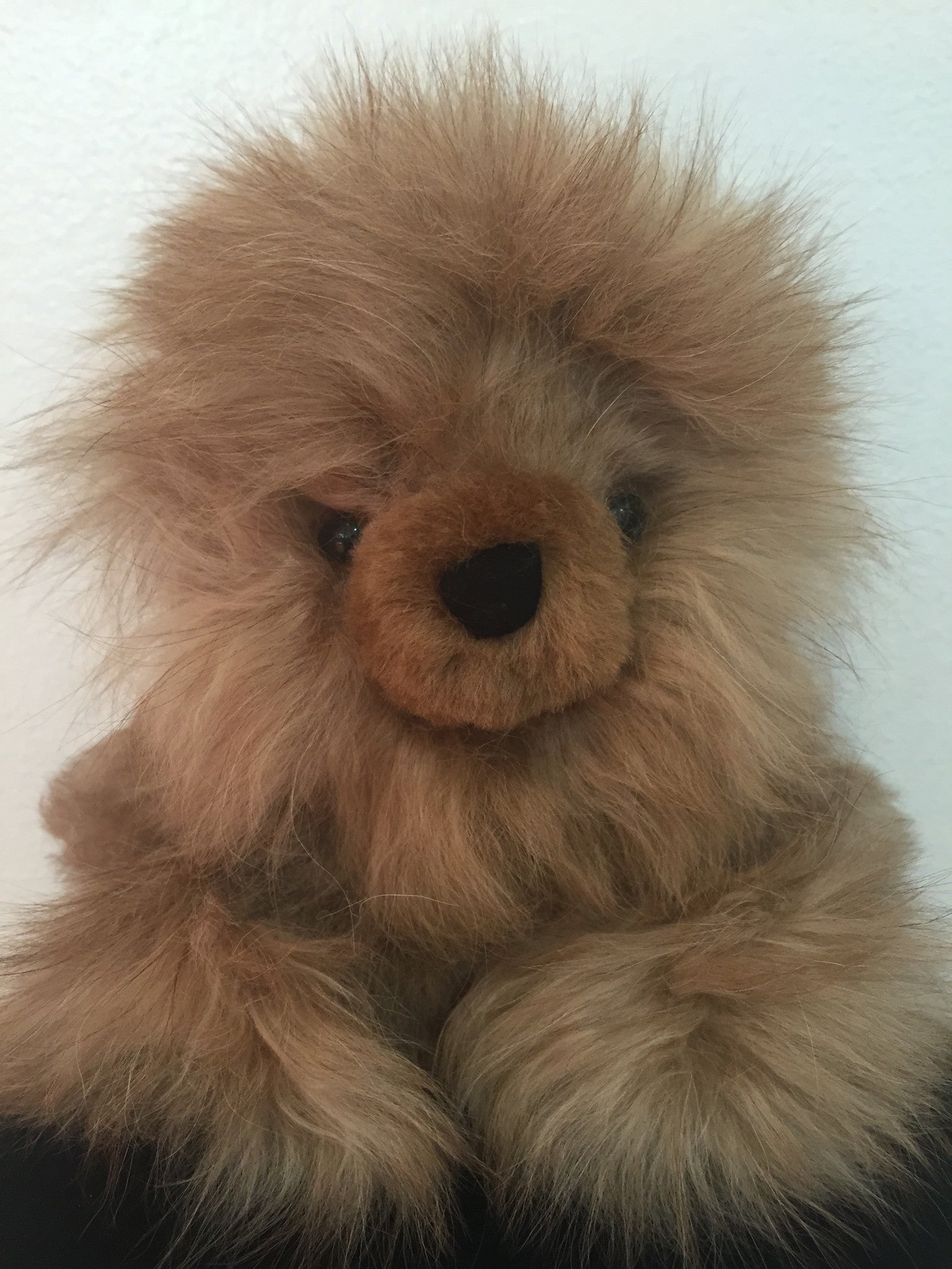 Fluffy Baby Teddy Bear